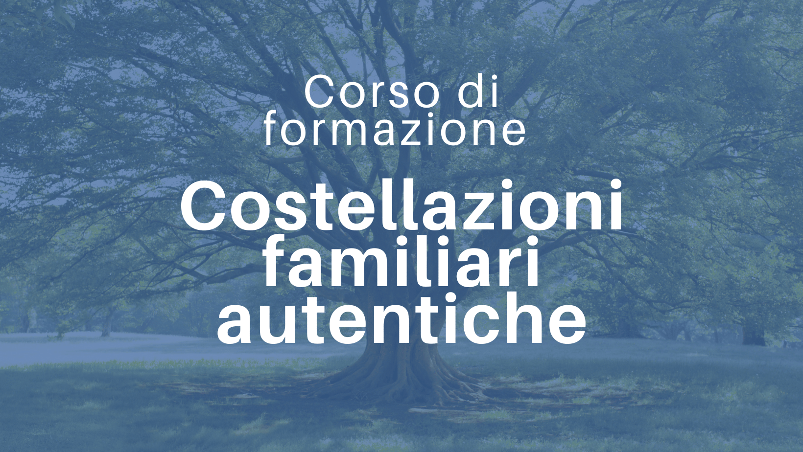 Corso di formazione in costellazioni familiari 2025-2026